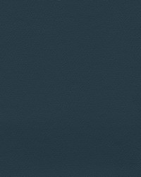 Independence Midnight Blue by   