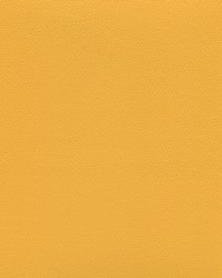 Independence Sunflower by   