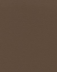 Independence Chestnut by   