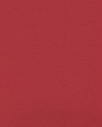 Independence American Beauty by   