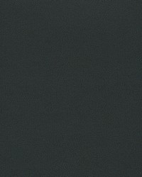 Independence Black by   