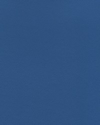 Independence Royal Blue by   