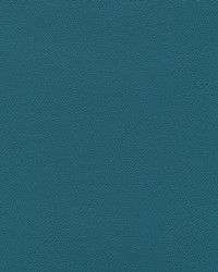 Independence Spruce by   