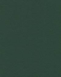 Independence Yew Green by   