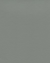 Independence Dove by   