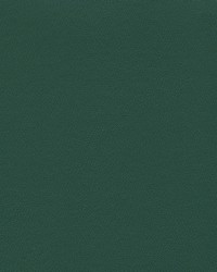 Independence Forest by   