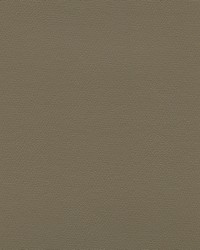 Independence Taupe by   