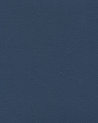 Independence Academy Blue by   