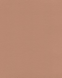 Independence Clay by   