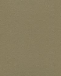 Independence French Brown by   