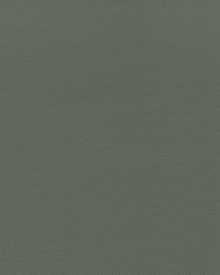 Independence Gunmetal by   