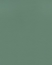 Independence Jade by   