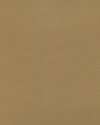 Independence Lt Maple by   