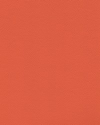 Independence Mandarin by   