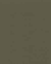 Independence Eucalyptus by   