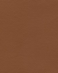 Independence Barn Owl by   