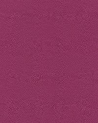 Independence BoysenberryMaragarita by   