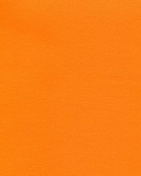 Independence Flirty Fox by   