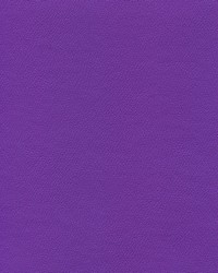 Independence Court Purple by   