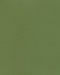 Independence Dusty Olive by   