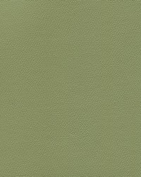 Independence Echo Valley by   