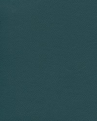 Independence Fanta See by   