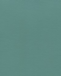 Independence Frog Prince by   