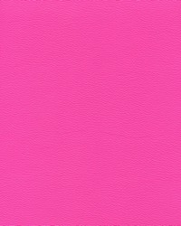 Independence HopeS Pink by   