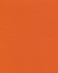 Independence Long Horn by   