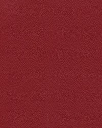 Independence Regal Rose by   