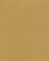 Independence Shhhh Immer by   