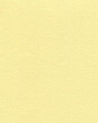 Independence Sunny Disposition by   