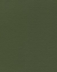 Independence Thyme Is Money by   