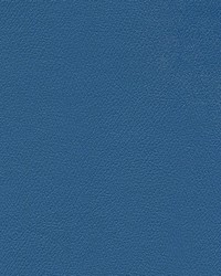 Independence Tropical Storm by   