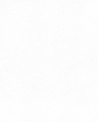 Independence Ghostly White by   