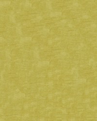 Intrigue 202 Chartreuse by   