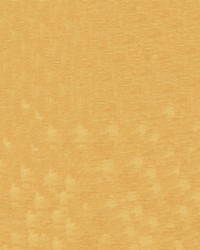 Intrigue 4003 Ochre by   