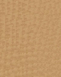 Intrigue 8006 Nutmeg by   