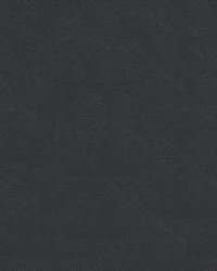 Islander 9154 Charcoal by   