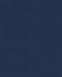 Islander 9158 Silver Blue by   