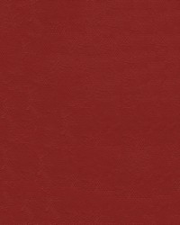 Islander 9160 Ruby Red by   