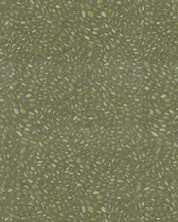 Jamboree 24 Lichen by   