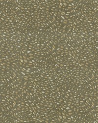 Jamboree 67 Driftwood by   