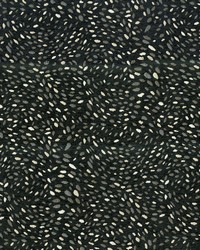 Jamboree 908 Mica by   