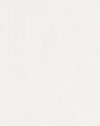 Journey 62 Ivory White by   