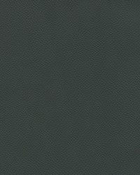 Longitude 167 Ebony by   