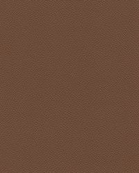 Longitude 260 Morocco by   