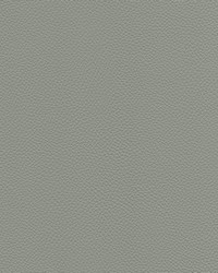 Longitude 311 Lt Titanium by   