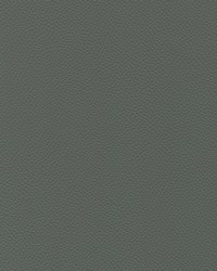 Longitude 313 Dk Titanium by   