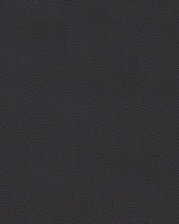 Longitude Soft 7692 Ebony by   